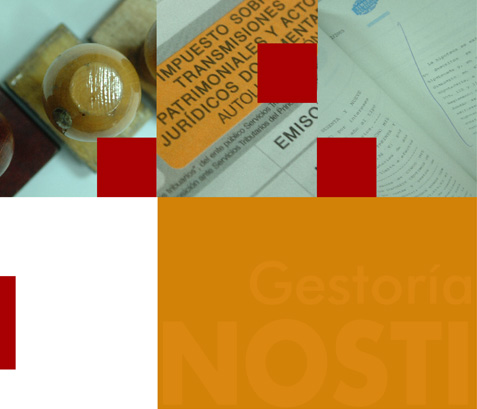 Gestor&iacute;a Nosti