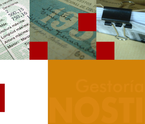 Gestor&iacute;a Nosti