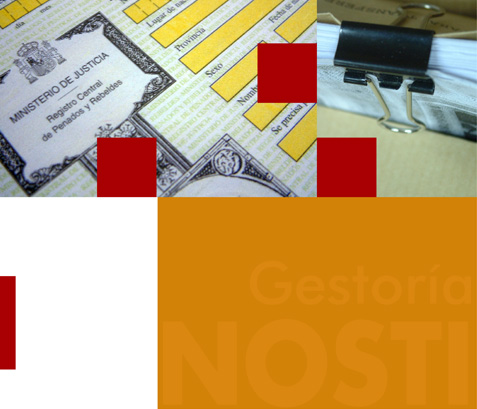 Gestor&iacute;a Nosti